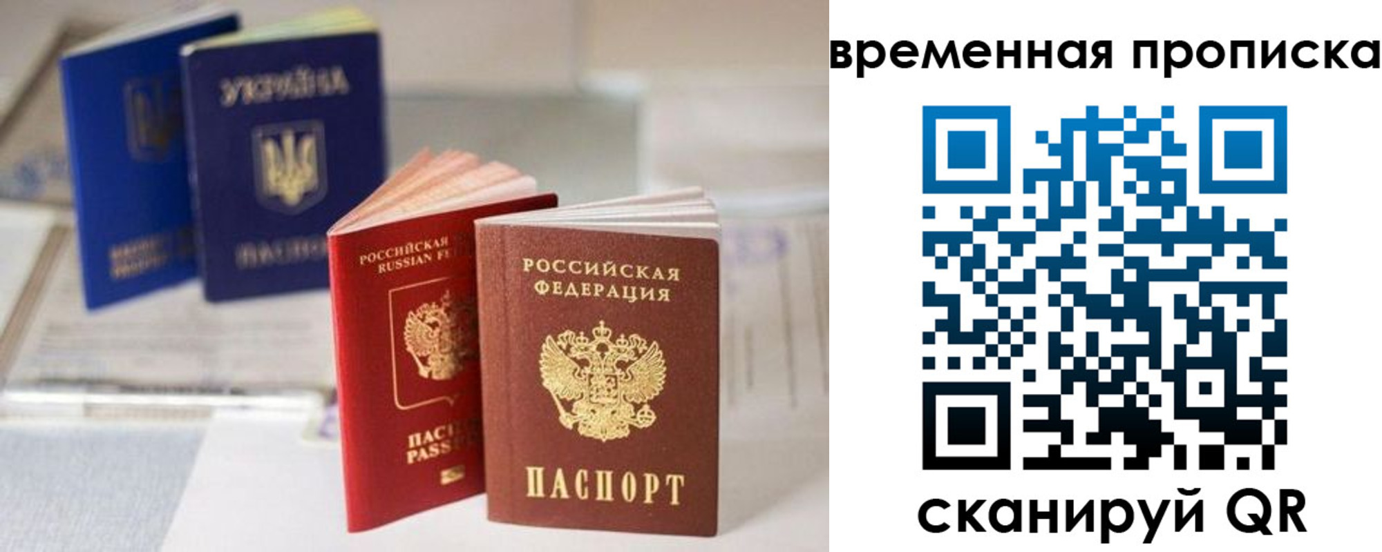 найти адрес прописки в Снежногорске